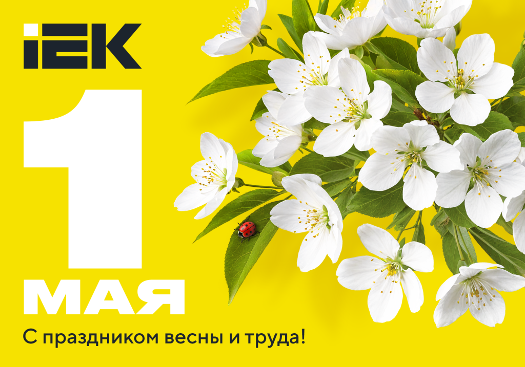 otkrytka_1 may 2025_IEK_2000x1400 px (1000x700px)_view.png